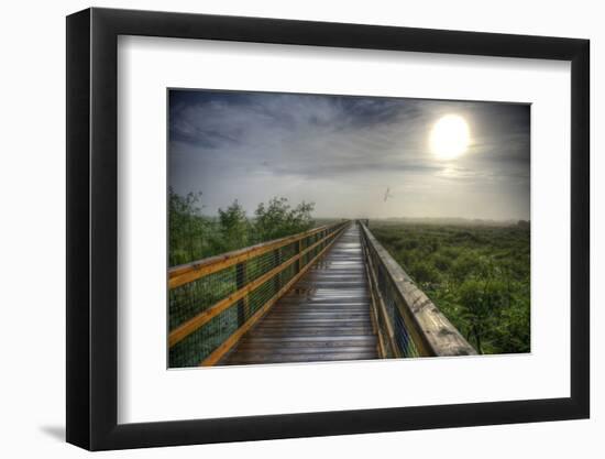 Paynes Prairie State Preserve, Florida: a View of the Prairie During Sunrise-Brad Beck-Framed Photographic Print