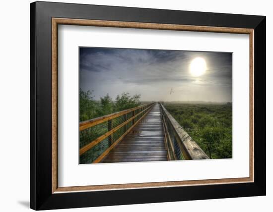 Paynes Prairie State Preserve, Florida: a View of the Prairie During Sunrise-Brad Beck-Framed Photographic Print