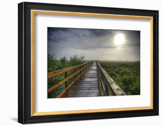 Paynes Prairie State Preserve, Florida: a View of the Prairie During Sunrise-Brad Beck-Framed Photographic Print