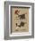 Pays B. - Tauromachie basque-Sylvain Bichicchi-Framed Premium Giclee Print