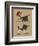 Pays B. - Tauromachie basque-Sylvain Bichicchi-Framed Premium Giclee Print