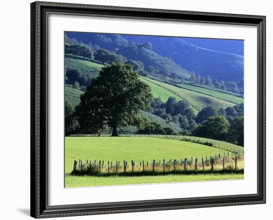 Pays Basques Countryside-Owen Franken-Framed Photographic Print