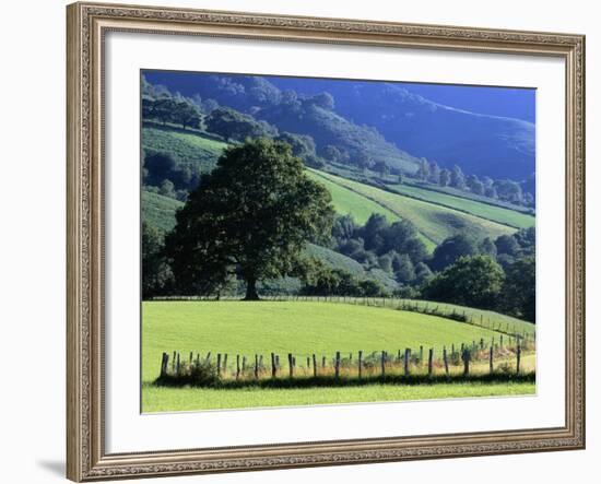 Pays Basques Countryside-Owen Franken-Framed Photographic Print