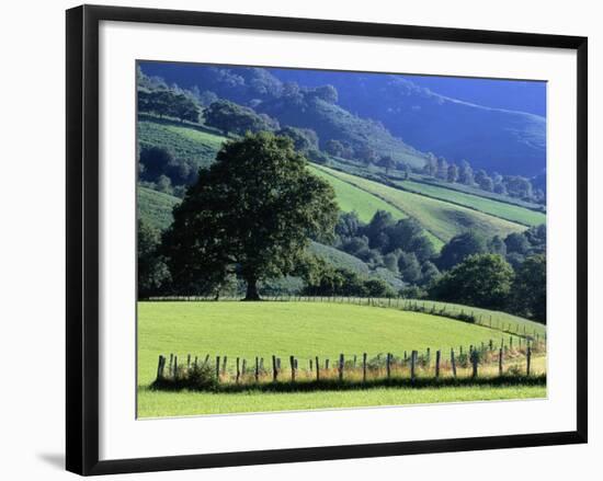 Pays Basques Countryside-Owen Franken-Framed Photographic Print