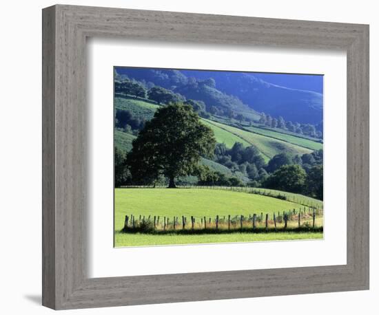 Pays Basques Countryside-Owen Franken-Framed Photographic Print