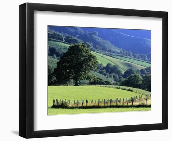 Pays Basques Countryside-Owen Franken-Framed Photographic Print