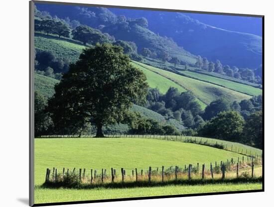 Pays Basques Countryside-Owen Franken-Mounted Photographic Print