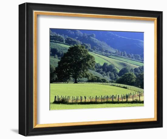 Pays Basques Countryside-Owen Franken-Framed Photographic Print