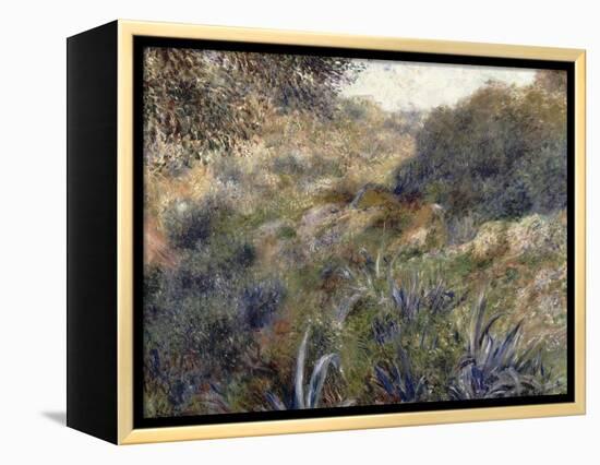 Paysage algérien, le ravin de la Femme Sauvage (faubourg d'Alger)-Pierre-Auguste Renoir-Framed Premier Image Canvas