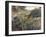 Paysage algérien, le ravin de la Femme Sauvage (faubourg d'Alger)-Pierre-Auguste Renoir-Framed Giclee Print