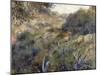 Paysage algérien, le ravin de la Femme Sauvage (faubourg d'Alger)-Pierre-Auguste Renoir-Mounted Giclee Print