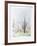 Paysage aux Arbres-Francis Saillart-Framed Limited Edition