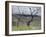 Paysage des Abruzzes-Francesco Paolo Michetti-Framed Giclee Print