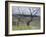 Paysage des Abruzzes-Francesco Paolo Michetti-Framed Giclee Print