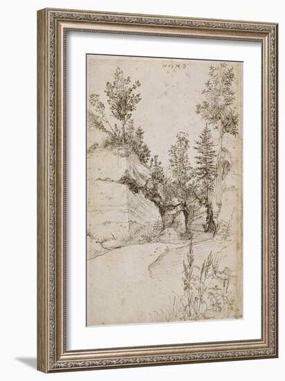 Paysage ; route bordée de rochers abrupts et d'arbres près de Nuremberg-Albrecht Dürer-Framed Giclee Print