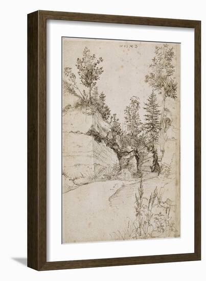 Paysage ; route bordée de rochers abrupts et d'arbres près de Nuremberg-Albrecht Dürer-Framed Giclee Print