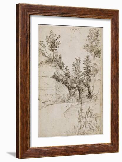 Paysage ; route bordée de rochers abrupts et d'arbres près de Nuremberg-Albrecht Dürer-Framed Giclee Print