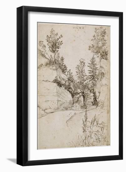 Paysage ; route bordée de rochers abrupts et d'arbres près de Nuremberg-Albrecht Dürer-Framed Giclee Print