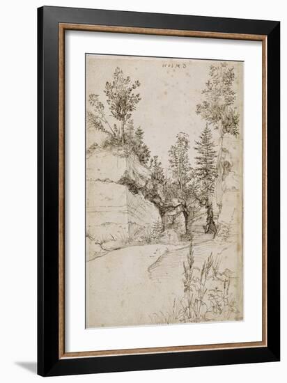 Paysage ; route bordée de rochers abrupts et d'arbres près de Nuremberg-Albrecht Dürer-Framed Giclee Print