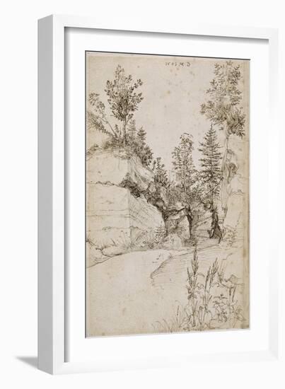 Paysage ; route bordée de rochers abrupts et d'arbres près de Nuremberg-Albrecht Dürer-Framed Giclee Print