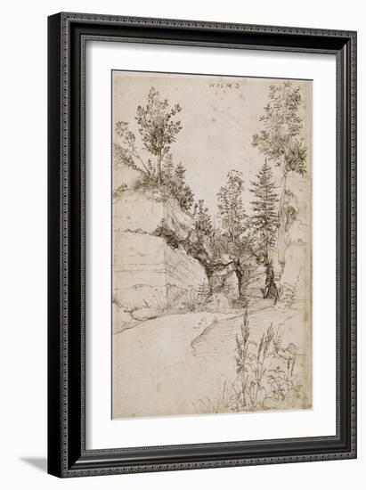 Paysage ; route bordée de rochers abrupts et d'arbres près de Nuremberg-Albrecht Dürer-Framed Giclee Print