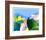 Paysage-Alfred Defossez-Framed Collectable Print