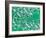 PCB-WizData-Framed Photographic Print