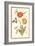 Pd.109-1973.F.50 Austrian Briar Rose and Mandragora (W/C & Gouache on Vellum)-Nicolas Robert-Framed Giclee Print