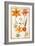 Pd.109-1973.F26 Two Tulips, Convolvulus, Lilium Bulbiferum and French Marigold (W/C on Vellum)-Nicolas Robert-Framed Giclee Print