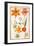 Pd.109-1973.F26 Two Tulips, Convolvulus, Lilium Bulbiferum and French Marigold (W/C on Vellum)-Nicolas Robert-Framed Giclee Print