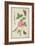 Pd.109-1973.F60 Centifolia Rose, Lavender, Tortoiseshell Butterfly, Goldfinch and Crested Pigeon-Nicolas Robert-Framed Giclee Print