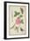 Pd.109-1973.F60 Centifolia Rose, Lavender, Tortoiseshell Butterfly, Goldfinch and Crested Pigeon-Nicolas Robert-Framed Giclee Print