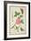 Pd.109-1973.F60 Centifolia Rose, Lavender, Tortoiseshell Butterfly, Goldfinch and Crested Pigeon-Nicolas Robert-Framed Giclee Print