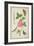 Pd.109-1973.F60 Centifolia Rose, Lavender, Tortoiseshell Butterfly, Goldfinch and Crested Pigeon-Nicolas Robert-Framed Giclee Print