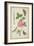 Pd.109-1973.F60 Centifolia Rose, Lavender, Tortoiseshell Butterfly, Goldfinch and Crested Pigeon-Nicolas Robert-Framed Giclee Print