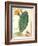 Pd.115-1973. F38 Detail of Cactus with Orange Flower, C.1764-Georg Dionysius Ehret-Framed Giclee Print