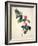 Pd.21-1960 Camellia Japonica, 1793-Pierre-Joseph Redouté-Framed Giclee Print