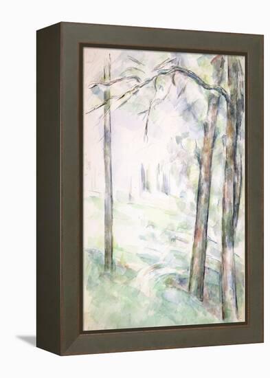 Pd.6-1966R the Woods, Aix-En-Provence, C.1890-Paul Cézanne-Framed Premier Image Canvas