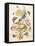 Pd.912-1973 Still Life of Flowers Including a Parrot Tulip, Larkspur, Sweet William, Gentian and…-Thomas Robins-Framed Premier Image Canvas