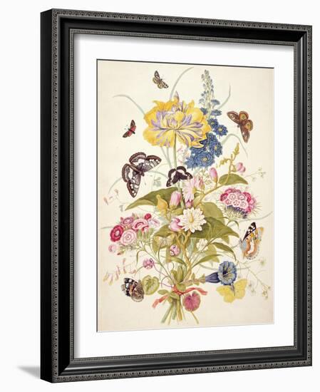 Pd.912-1973 Still Life of Flowers Including a Parrot Tulip, Larkspur, Sweet William, Gentian and…-Thomas Robins-Framed Giclee Print