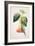 Pd.993-1973 Thorn Apple Flower from Ecuador, Datura Rosei-Augusta Innes Withers-Framed Giclee Print