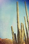 Desert Cactus With An Artistic Texture Overlay-pdb1-Art Print