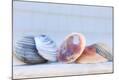 Premium Photographic Print
