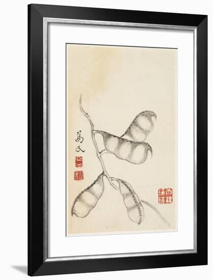 Pea Pods, from an Album of Vegetables-Shou-min Pien-Framed Giclee Print
