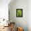 Pea Pods, One Open-Greg Elms-Framed Premier Image Canvas displayed on a wall