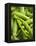 Pea Pods, One Open-Greg Elms-Framed Premier Image Canvas