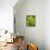 Pea Pods, One Open-Greg Elms-Framed Premier Image Canvas displayed on a wall