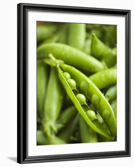 Pea Pods, One Open-Greg Elms-Framed Photographic Print