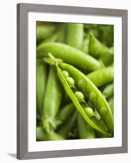 Pea Pods, One Open-Greg Elms-Framed Photographic Print