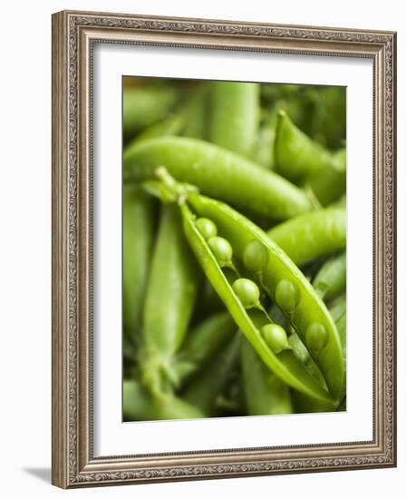 Pea Pods, One Open-Greg Elms-Framed Photographic Print